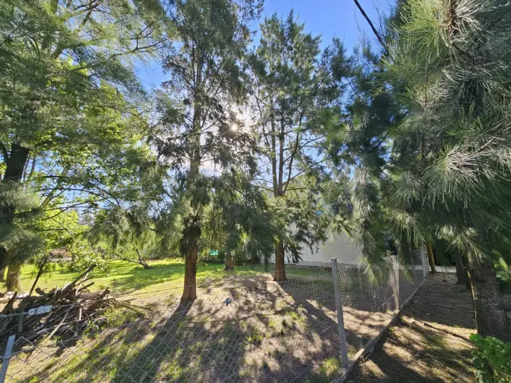 Lote de 300 m² en Villa Parque Sicardi, foto 1