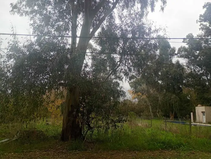 Lote de 1.200 m² en Etcheverry, foto 1