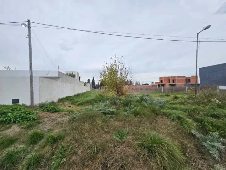 Lote de 1.200 m² en Lisandro Olmos, foto 1