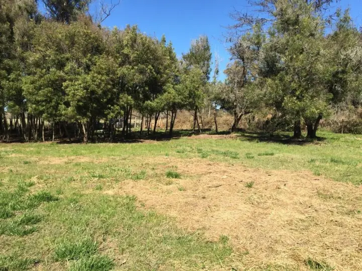 Lote de 1.211 m² en Verónica, foto 1