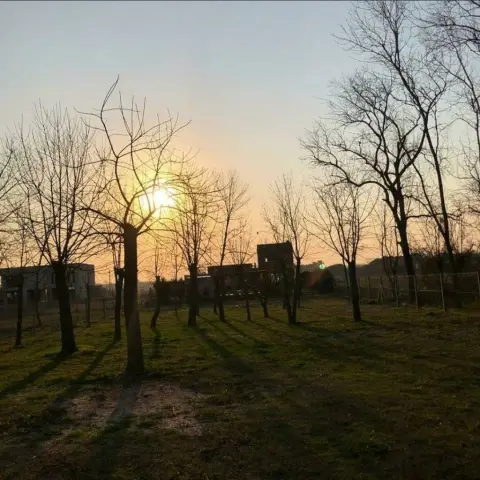 Lote de 1.000 m² en Berisso