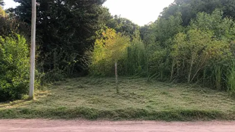Lote de 374 m² en Villa Parque Sicardi