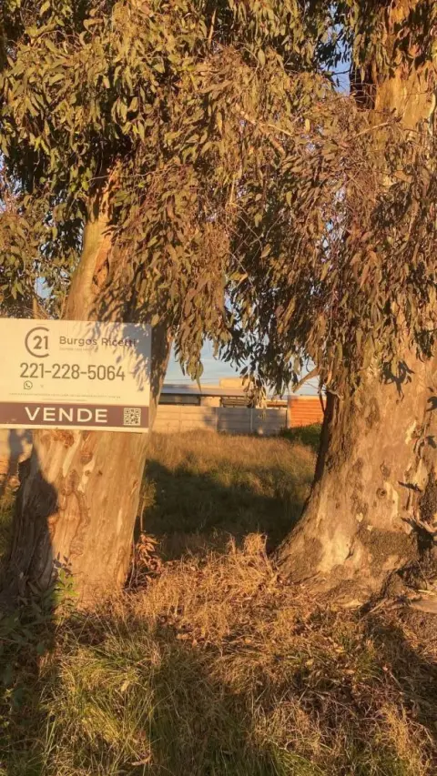 Lote de 300 m² en La Plata